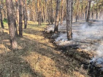 В Голопристанском лесхозе ликвидировали три пожара после атак ВСУ