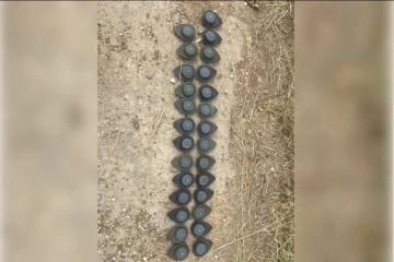 Посол Мирошник: ВСУ стали чаще проводить минирование в Херсонской области