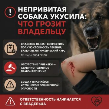 Непривитая собака укусила: что грозит владельцу