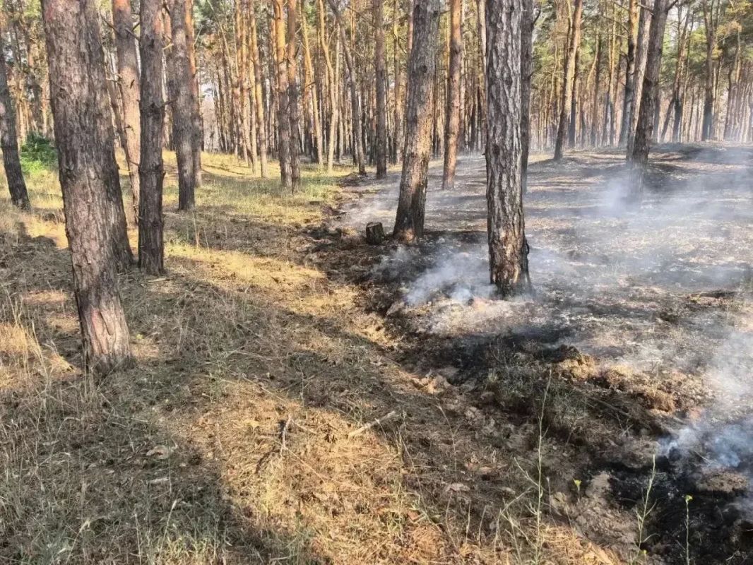 В Голопристанском лесхозе ликвидировали три пожара после атак ВСУ