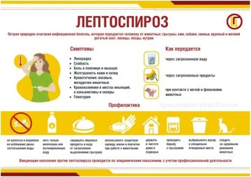�����������: ��� ������ � ��� �������� ����