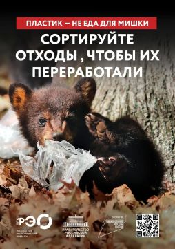 Пластик не еда для мишки. Пакет, оставленный в лесу или возле места отдыха, не исчезает после ухода человека