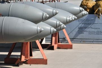 РИА Новости: «Птиц Мадьяра» уничтожили в подконтрольном ВСУ Херсоне