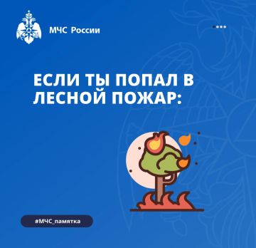 Если вы попали в лесной пожар: как действовать, чтобы спастись