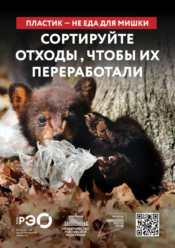 Пластик не еда для мишки. Пакет, оставленный в лесу или возле места отдыха, не исчезает после ухода человека