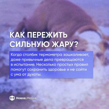 Спасаемся от пекла. Когда солнце превращает улицу в сауну, а кондиционер не справляется, мало просто пить воду