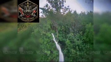 ������� ���� 35 ������������ ����� ���� 35 ����� ����������� ����� ������� ���������� ��������� ������ �������� ������� ���������� ��� �� ����������� �����������