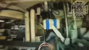 ��� �� ���������������� �����������: ��������� ��������� ������������ ���
