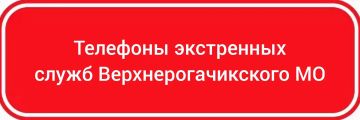 ������ ������:. +7 990 015 75 04