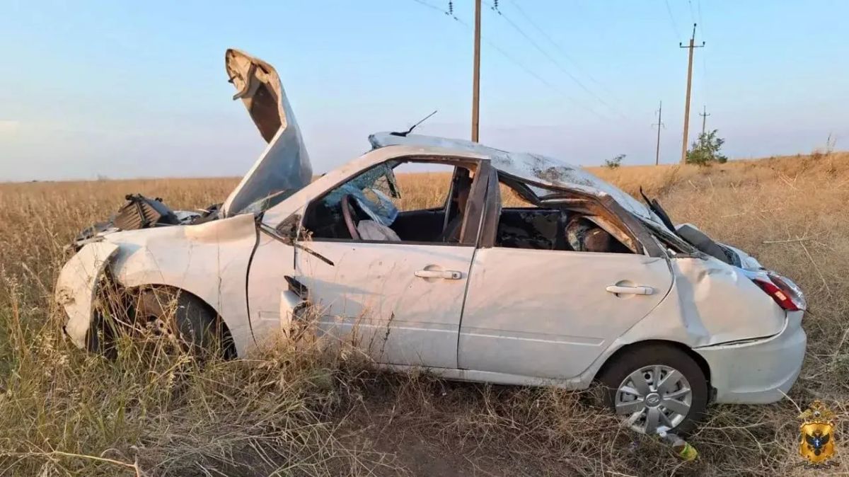 В Чаплинском округе 18-летняя водитель автомобиля получила травмы в результате ДТП