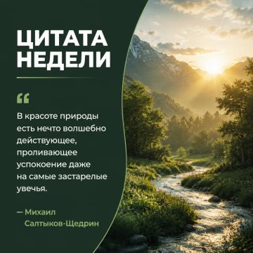 Рубрика «Цитата недели». Природа обладает удивительной силой: её тишина, красота и гармония помогают отвлечься от тревог, восстановить душевное равновесие и по-новому взглянуть на привычные вещи