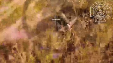 �������� ����������� ������: ����������� ����� ���� ����������