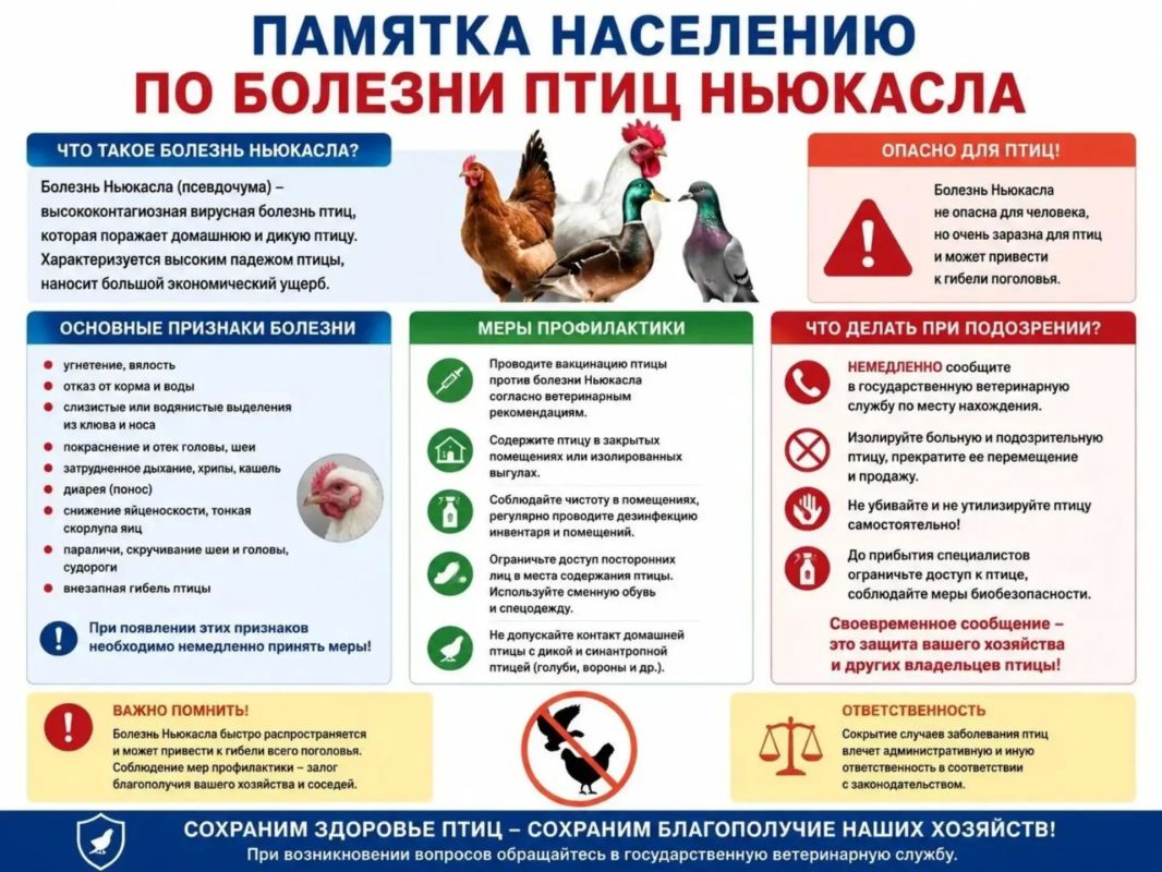 «СТОП ГРИПП»: меры по профилактике опасных заболеваний птиц