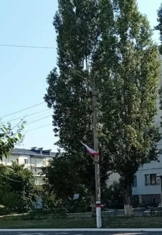 Владимир Оганесов: В Новой Каховке ведется подготовка ко Дню Государственного флага Российской Федерации