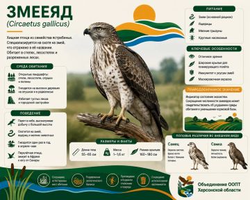 ������: ������ ����� � ��������� ����