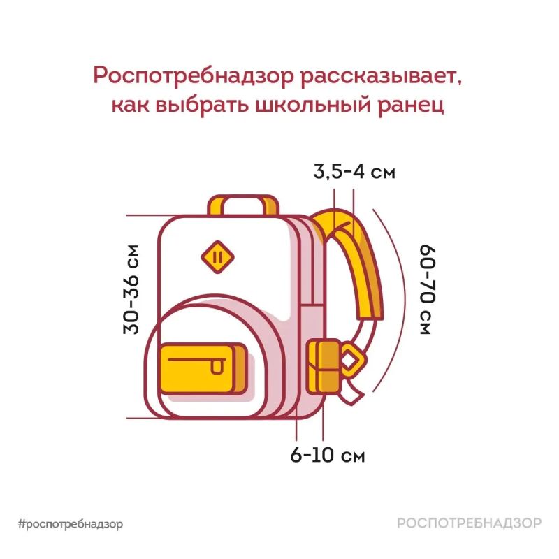 Как выбрать школьный ранец: рекомендации Роспотребнадзора