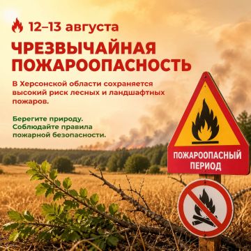 В Херсонской области объявлен режим повышенной бдительности: 12–13 августа ожидается чрезвычайная пожароопасность