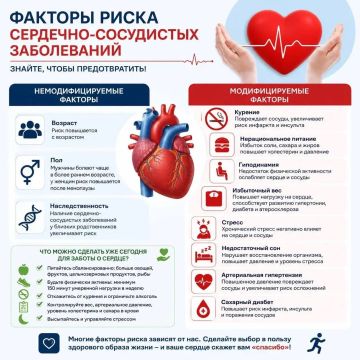 Факторы риска сердечно-сосудистых заболеваний: что зависит от нас?