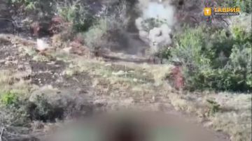 ����� ����������� ����� "�����" ���������� ��������������� ������ ���������� ���