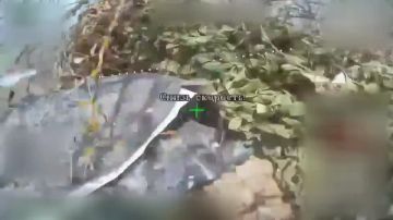 Расчеты FPV-дронов, управляемых по оптоволоконным кабелям и ударных БпЛА самолетного типа «Молния-2» 42-й гвардейской мотострелковой дивизии 58-й общевойсковой армии из состава группировки войск «Днепр» успешно ликвидировали...