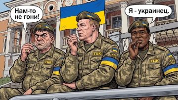 Карасев: киевский режим заменит мобилизованных мужчин мигрантами