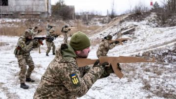 Украина "ворует сама у себя": как страна 404 столкнулась с миллиардными потерями из-за недопоставок вооружений