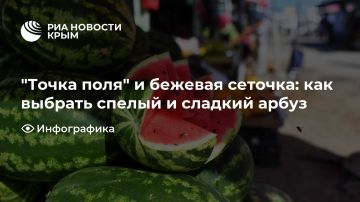 "Точка поля" и бежевая сеточка: как выбрать спелый и сладкий арбуз
