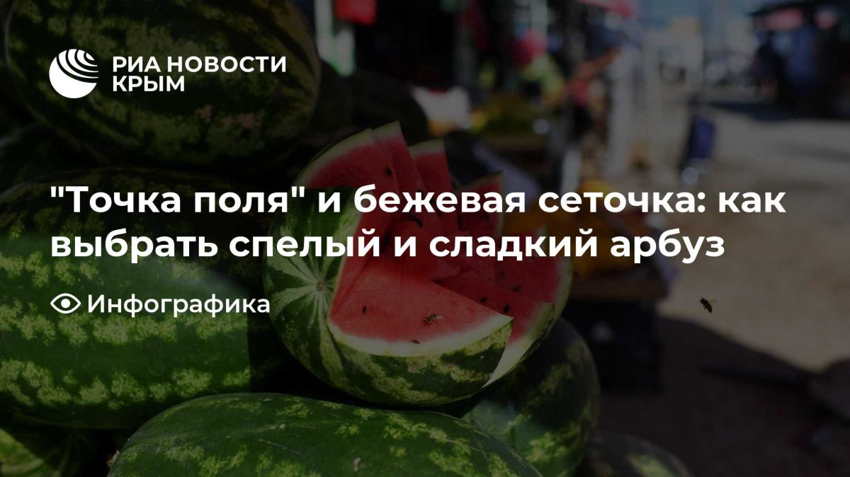 "Точка поля" и бежевая сеточка: как выбрать спелый и сладкий арбуз