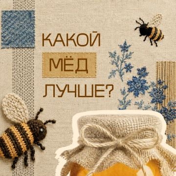 Мёд — это не просто сладость, а целая палитра вкусов