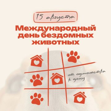 Сегодня Международный день бездомных животных