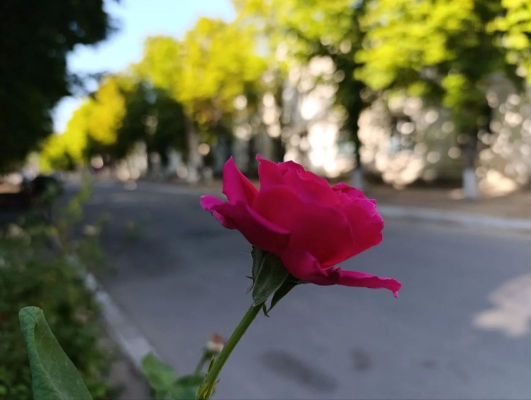 Доброе утро!. Отличная суббота нас ждет сегодня