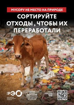 Мусору не место на природе