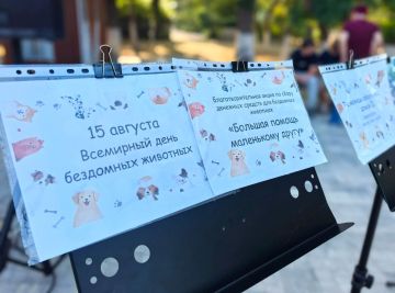 ������� � ��������: � ��������� ������ ����� � ��������� ��������� ��������