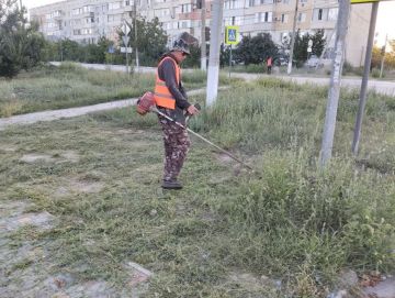 Александр Дудка: Плановые работы по благоустройству Скадовска