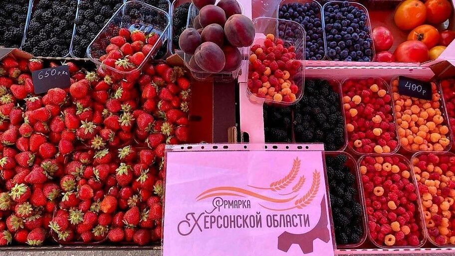 Сельхозпроизводителям Херсонской области предоставляют бесплатные торговые места