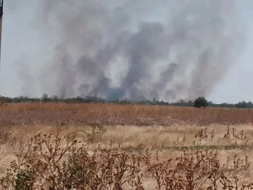 Происшествия Горностаевского муниципального округа