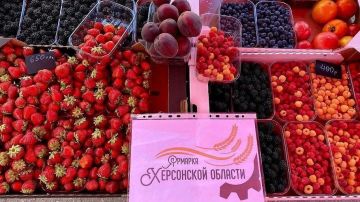 В Херсонской области продолжают поддерживать аграриев, создавая условия для реализации их продукции
