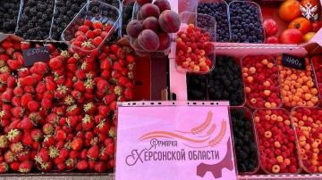Сельхозпроизводителям Херсонской области предоставляют бесплатные торговые места