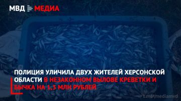 Полиция уличила двух жителей Херсонской области в незаконном вылове креветки и бычка на 1,3 млн рублей