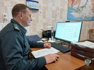 Россельхознадзор отменил 138 зерновых деклараций в Херсонской области