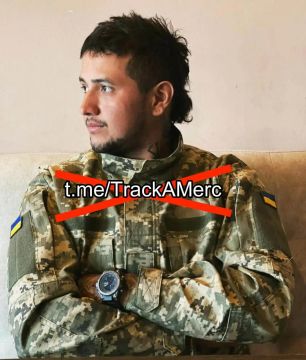 Рубрика #СолдатыНеудачи. Вспомнилось бессмертное пушкинское: Так высылайте ж нам, витии