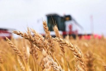 В Херсонской области действуют государственные меры поддержки сельхозпроизводителей!