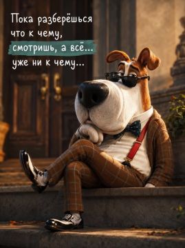 ��� ������ �������� ����
