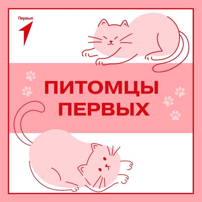 Первые и их любимцы!. Почти у каждого из нас есть домашний питомец, о котором хочется рассказать всем