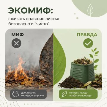 ������: ������� ������� ������ ��������� � ������