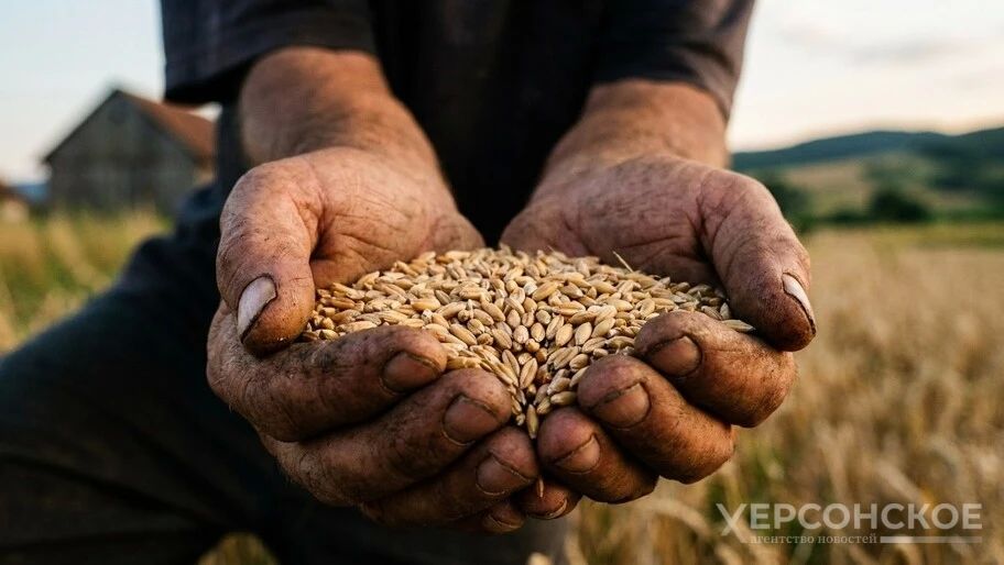В Верхнерогачикском округе собрали зерновые, рапс, горох и лен