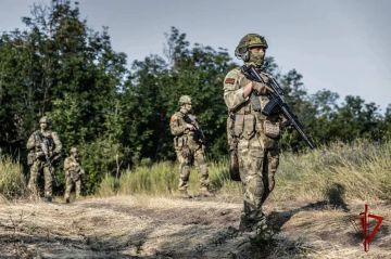 390 нарушителей режима военного положения задержали в Запорожской и Херсонской областях за месяц