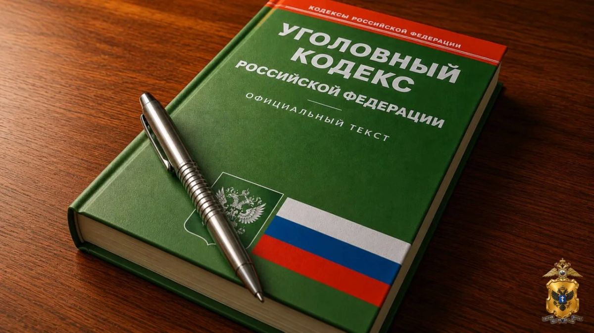 Житель Генического округа признан виновным в дропперстве