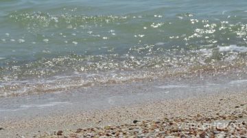 � �������� ������ ���������� ���������� ���������� ���������������