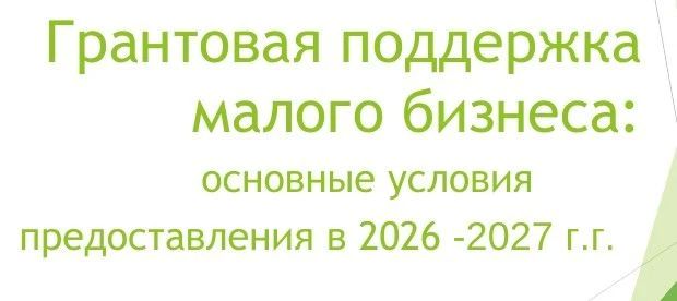 Грантовая поддержка малого бизнеса в 2026-2027 году